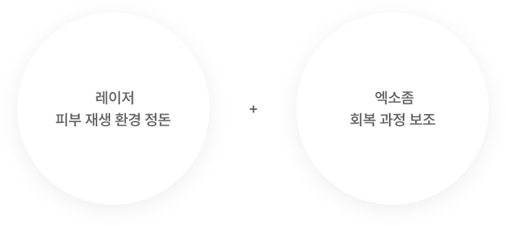 올데이 스킨 리뉴얼의 아침부터 저녁까지 유지되는 피부 컨디션 변화 그래프